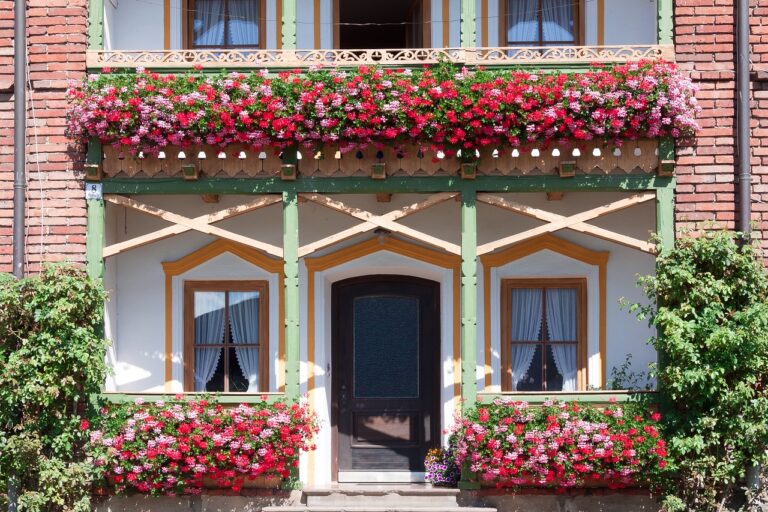 plante entrée maison