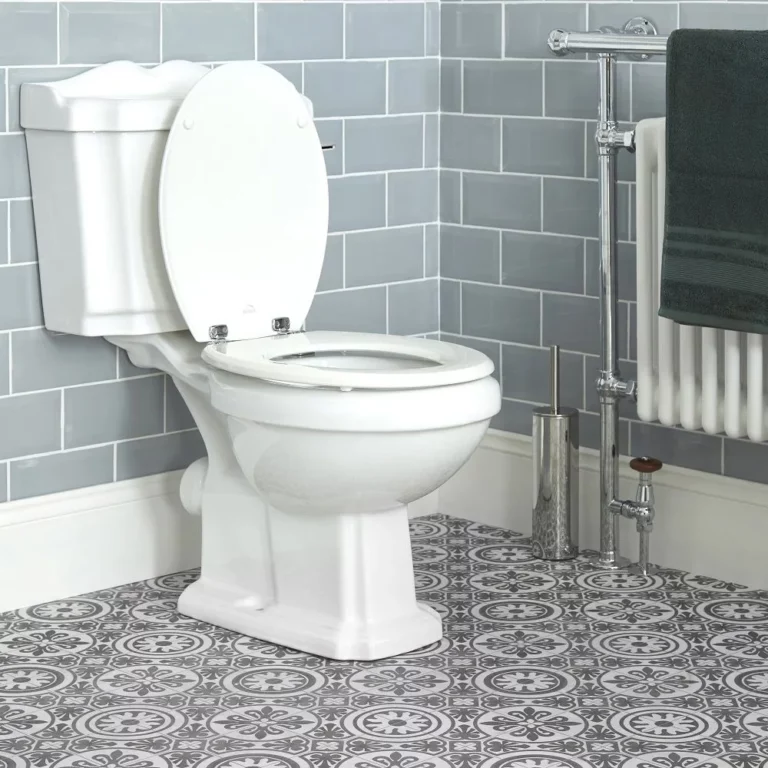 wc au sol couleur blanc