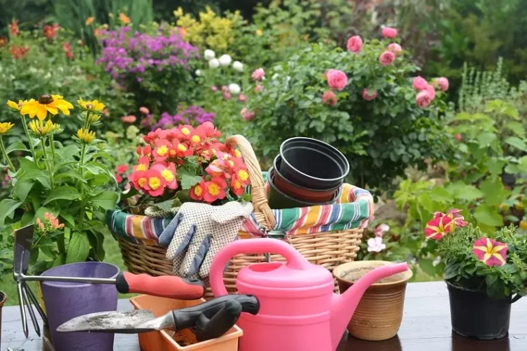 Entretien jardin