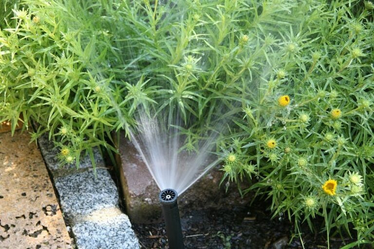 Arrosage jardin