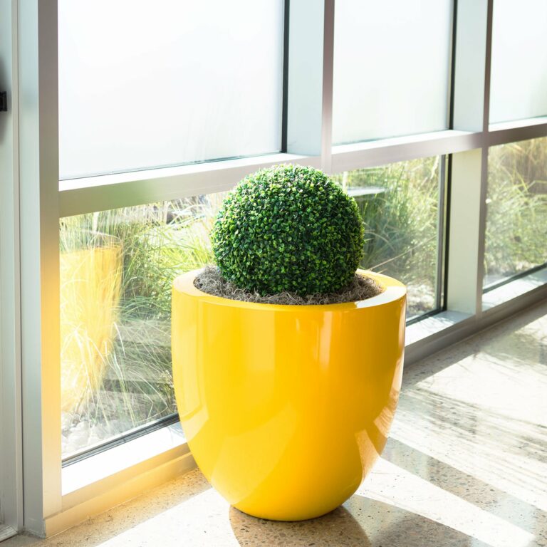 taille pot de fleur