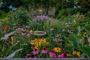 Phytoépuration avis 2026 : prix, retours clients et Aquatiris