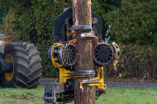 Méthode mécanique pour faire mourir un arbre