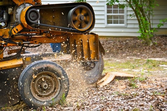 Techniques d'Arrachage de Souche pour les Petits Espaces