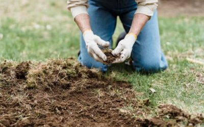 Quels sont les risques si la terre n’est pas correctement tassée ?