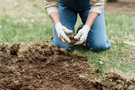 Quels sont les risques si la terre n'est pas correctement tassée