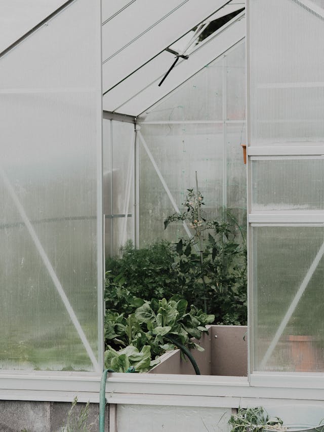 Installation et aménagement de votre serre de jardin en polycarbonate