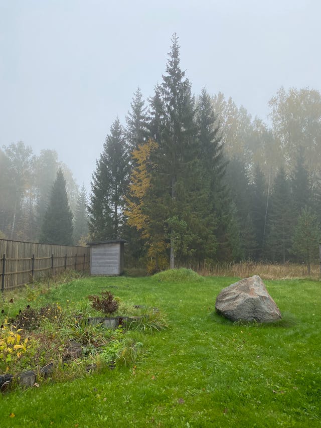 Préparer le sol et planter vos arbres pour une croissance optimale